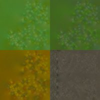 Asset preview